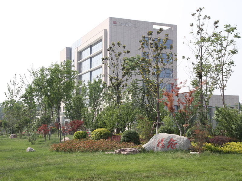 衛輝市化工有限公司万吨级石油用助剂新材料产业化项目环保设施调试信息公示